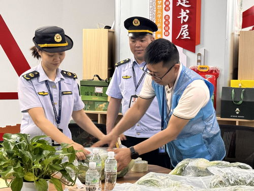 廣西龍勝“你點我檢” 科技賦能校園餐飲管理，守護學生舌尖安全
