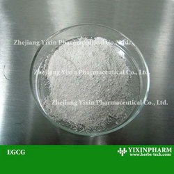 EGCG與植物提取物的關(guān)系及其應(yīng)用價(jià)值