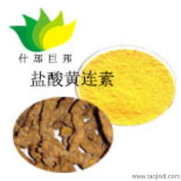 巨邦供應(yīng)小檗堿黃連素 天然香料的健康之選