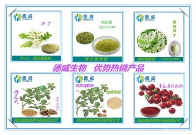 番瀉葉提取物 功效、市場價格與西安產(chǎn)業(yè)概況