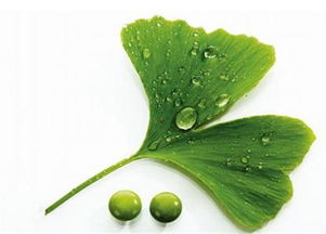 天然健康 驅(qū)動植物提取物行業(yè)發(fā)展的核心動力