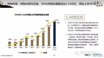 2016年中國股權投資市場回顧與展望 融資咨詢服務的機遇與挑戰