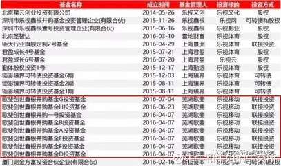被樂視辜負(fù)的資本盛宴 大佬、明星與近百機(jī)構(gòu)的未解困局